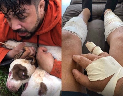 Mestre de Muay Thai é atacado e imobiliza dois pitbulls fêmea em Ponta Porã -  (crédito: Reprodução/Instagram (@bocaomuaythai_ernesto))