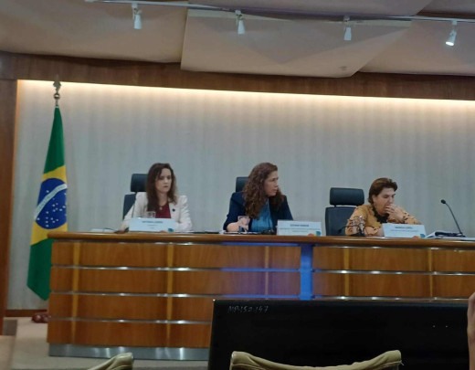 Ministra Esther Dweck detalha edital do CNU 2 -  (crédito: Raphaela Peixoto / CB / DA Press)