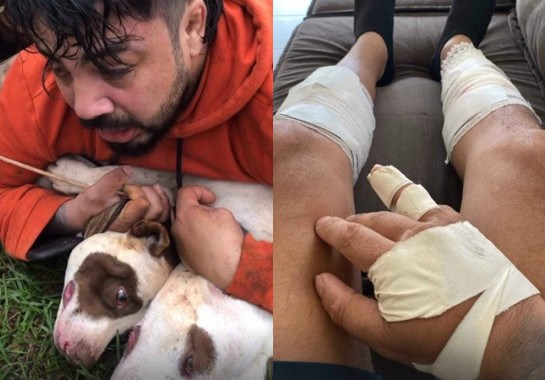 Reprodução/Instagram (@bocaomuaythai_ernesto)