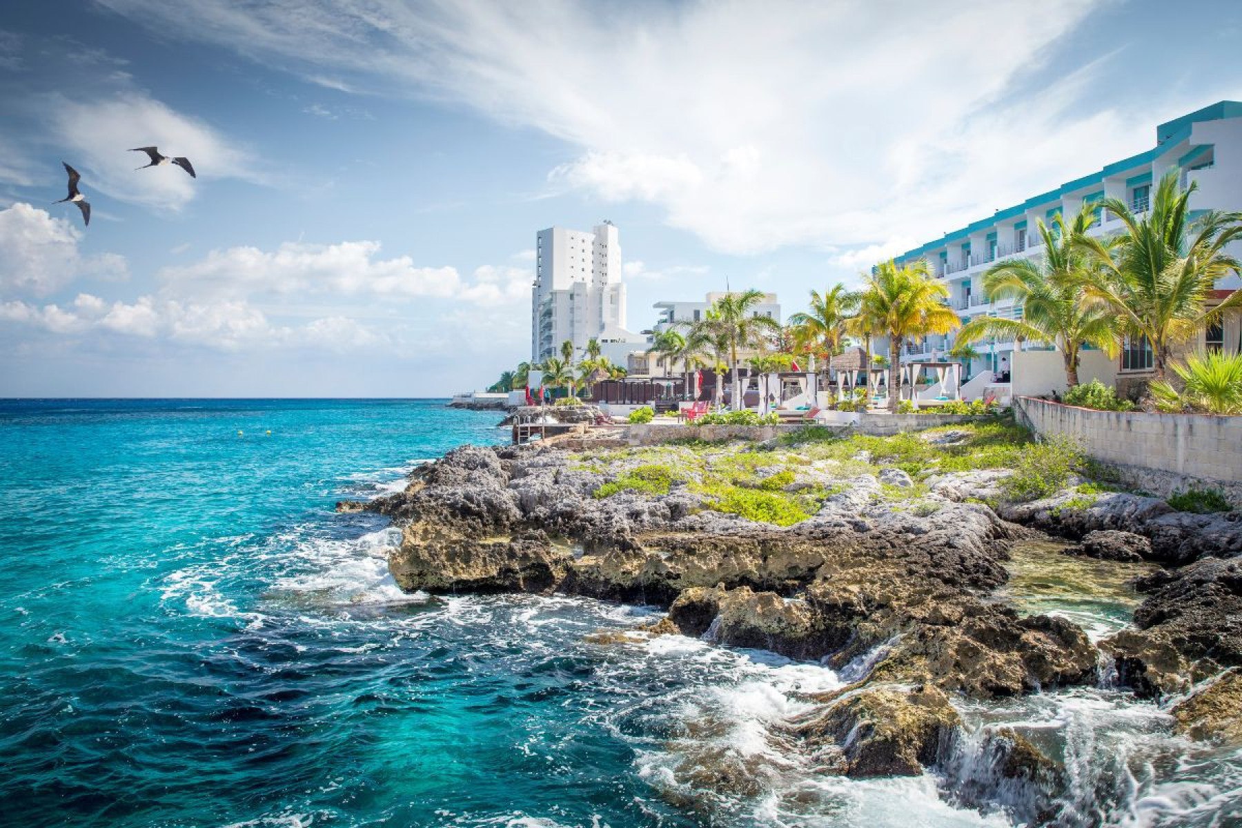 Cozumel - México
-@mikolaj64