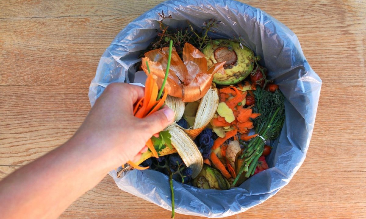 Além de reduzir o lixo doméstico, você devolve nutrientes à natureza e estimula um ciclo mais consciente dentro de casa adubo