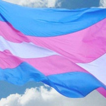 Pesquisadores criticam resolução do CFM que barra bloqueio hormonal para crianças trans - Antra/Divulgação