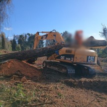Como não houve testemunhas, não foi possível levantar informações sobre a dinâmica do acidente, explicou o Corpo de Bombeiros -  (crédito: CBMMG)