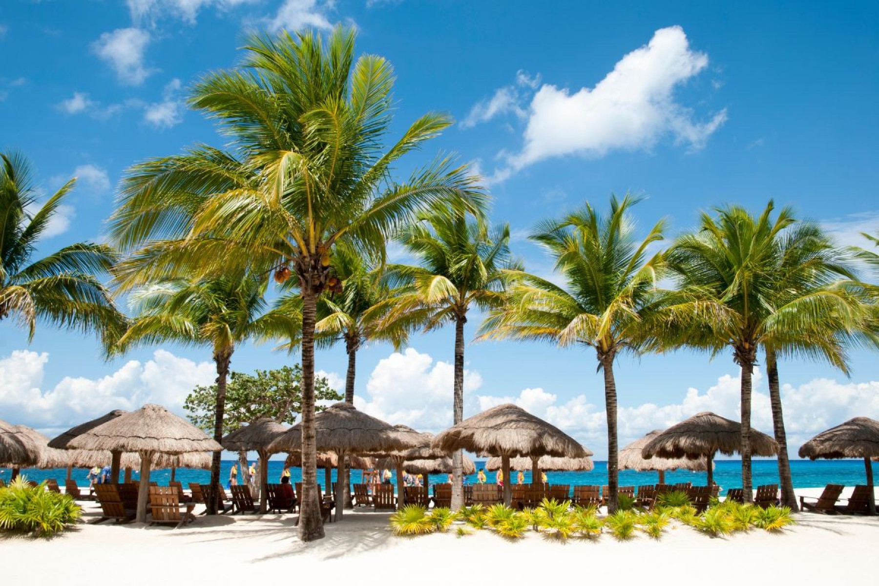 Cozumel - México
-virsuziglis de Getty Images