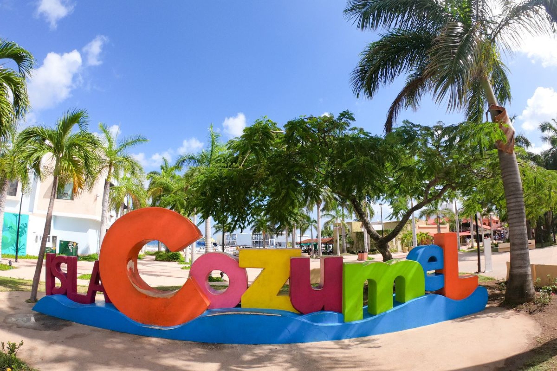 Cozumel - México
-Daniel-Avin77 de Getty Images