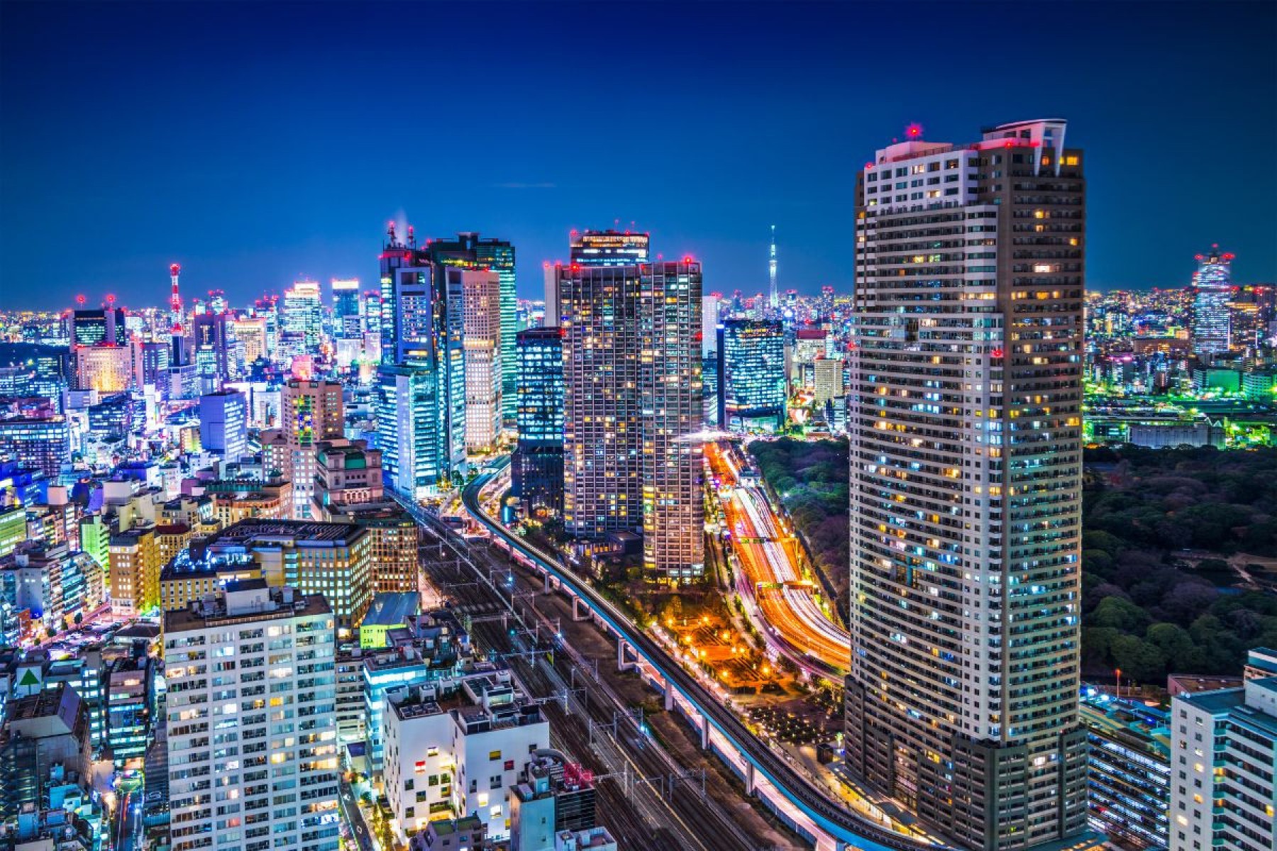 Tóquio - Japão
-SeanPavonePhoto de Getty Images