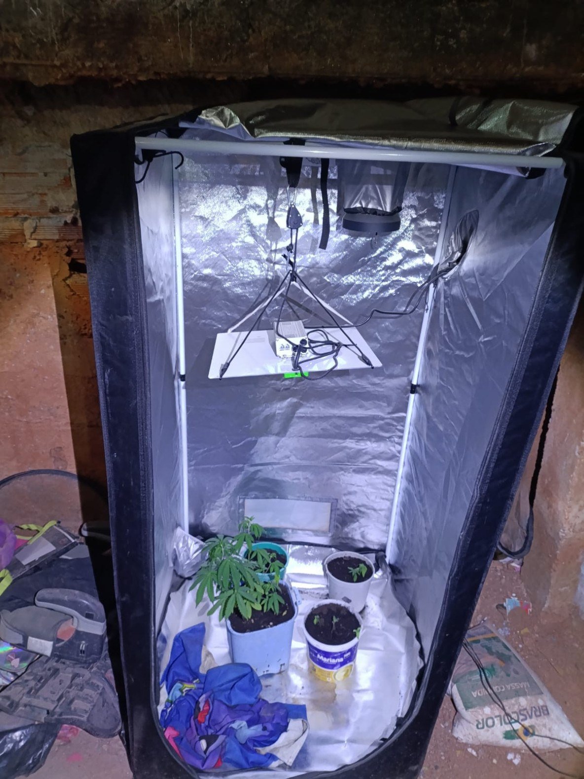 Suspeito mantinha uma estufa com iluminação e rega dentro de casa