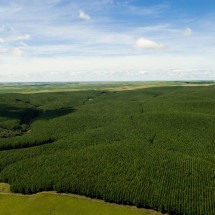 Guararapes apresenta relatório de sustentabilidade  - DINO