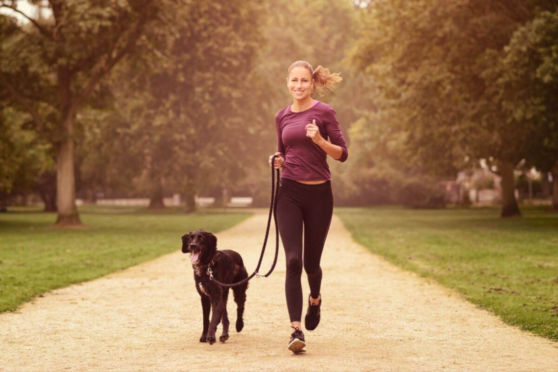 8 dicas para começar a praticar corrida com o cachorro