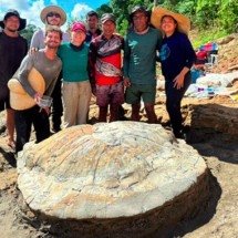 Fóssil de tartaruga gigante que viveu há 13 milhões de anos é encontrado no Acre - Divulgação