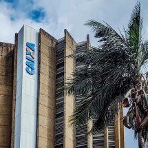 Preços das apostas das Loterias Caixa aumentam a partir de 9 de julho - Rafa Neddermeyer/Agência Brasil