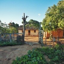 Documentário faz viagem poética ao sertão de Guimarães Rosa - Diego Zanotti/Divulgação