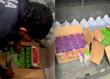 A substância foi apreendida e passará por perícia -  (crédito: Divulgação/Polícia Civil)