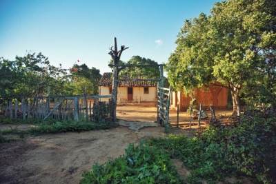 ‘Gerais da pedra’, de Diego Zanotti, Gabriel Oliveira e Paulo Júnior; resgata histórias e memórias de moradores que conhecem Riobaldo e Diadorim como mitos do sertão
 -  (crédito: Diego Zanotti/Divulgação)