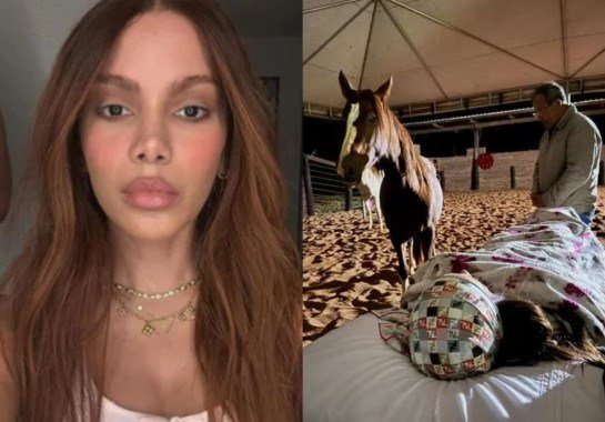 Reprodução Observatório dos Famosos / Instagram 