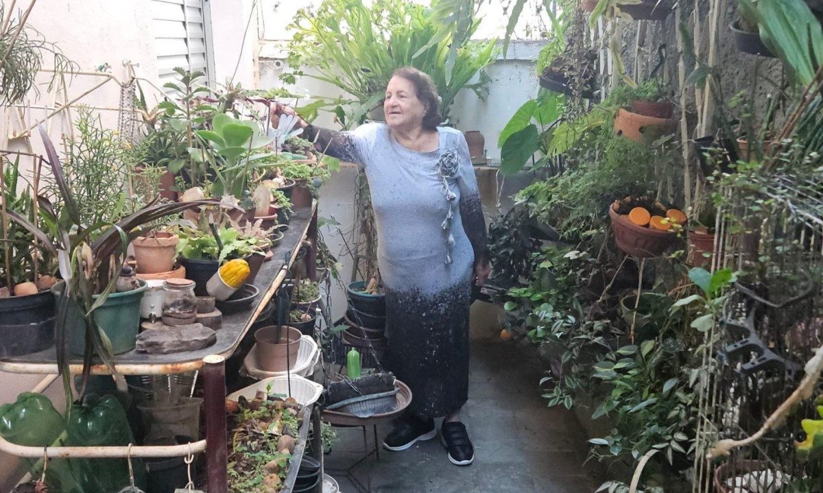 Prestes a completar cem anos, Dona Lourdes passa quatro horas por dia cuidando de suas plantas