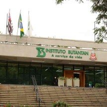 Butantan se prepara para testar vacina contra gripe aviária em humanos