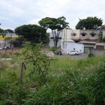 PBH determina novas regras de roçagem para mitigar impactos de incêndios - Tulio Santos/EM/D.A.Press