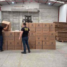MG: mais de 1,7 milhão de maços de cigarros são apreendidos no Centro-Oeste - Reprodução/ Receita Estadual