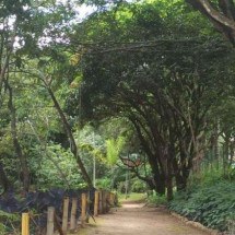 Trilha Kids conecta crianças à natureza em parque de BH - Suziane Brugnara/PBH