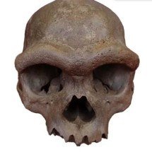 Pesquisas revelam origem do crânio de "Homem Dragão", datado de 146 mil anos atrás - Divulgação/Universidade GEO de Hebei