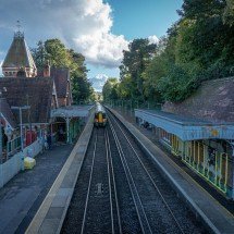 Entre culturas - Pixabay