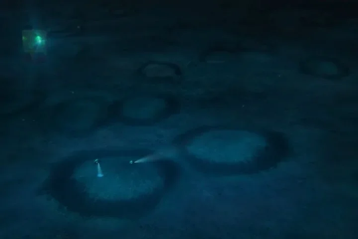 Anéis misteriosos no mar deixam cientistas intrigados - Reprodução/Youtube