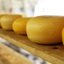 Variados tipos de queijos e suas diferentes origens - PublicDomainPictures por Pixabay