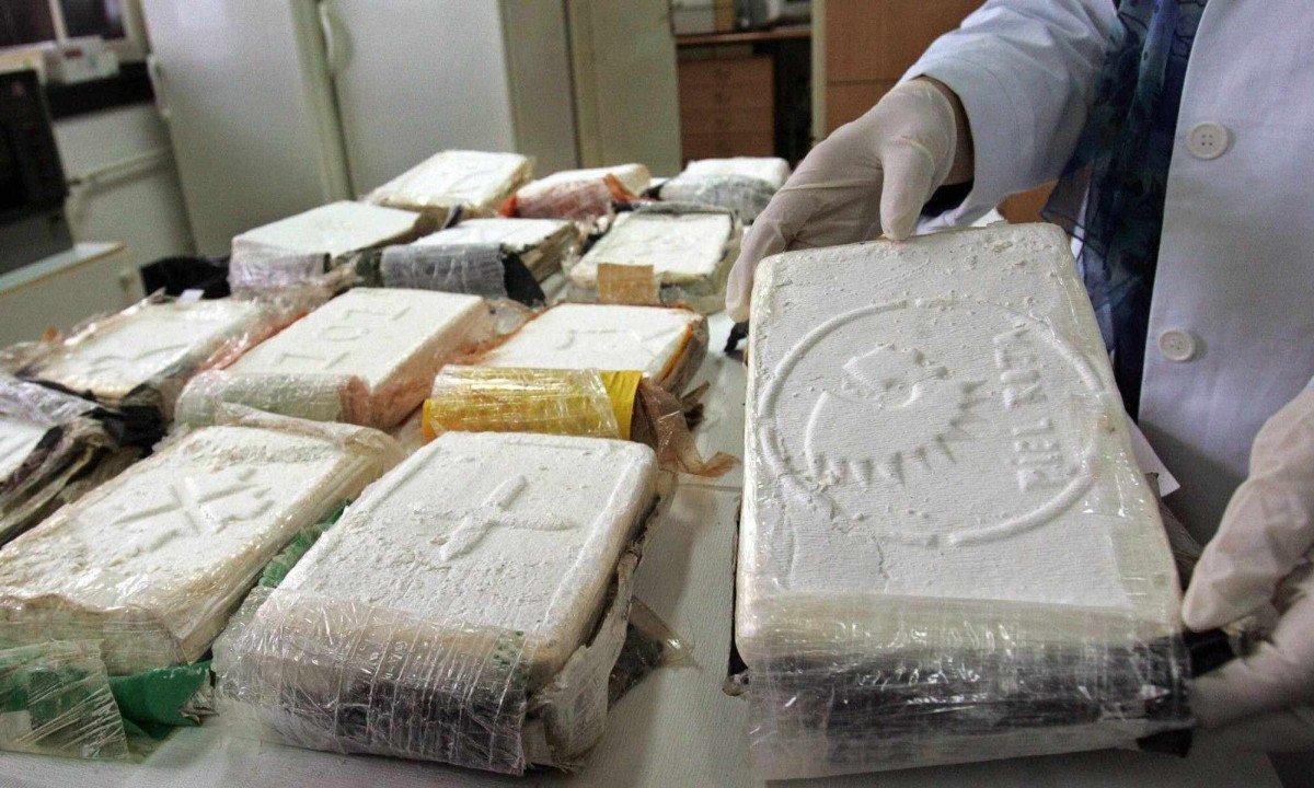 Atualmente, mais pasta base de cocaína, a base da substância final, pode ser extraída de uma planta de coca -  (crédito: Getty Images)