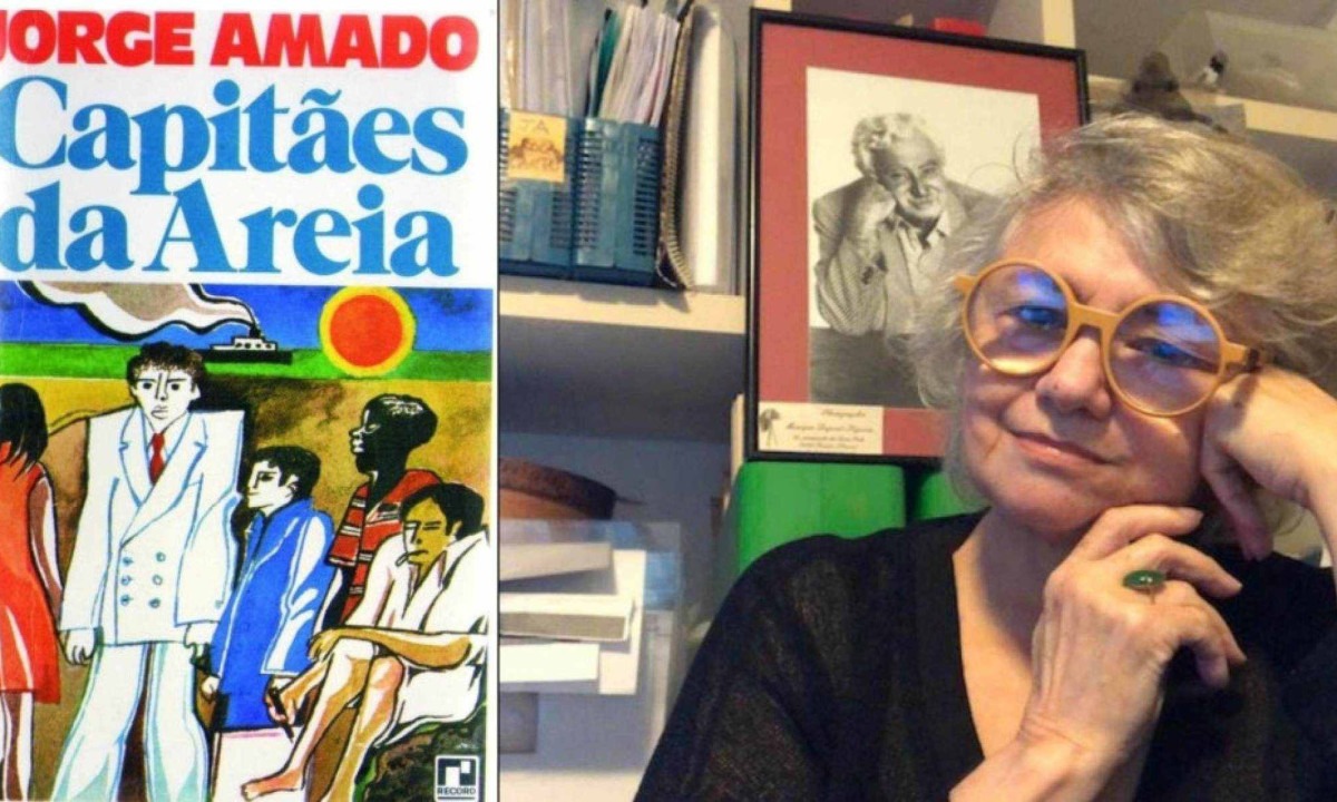 Mais uma a usá-lo para aparecer, diz filha de Jorge Amado sobre vereadora de SC - (crédito: Platobr Politica)