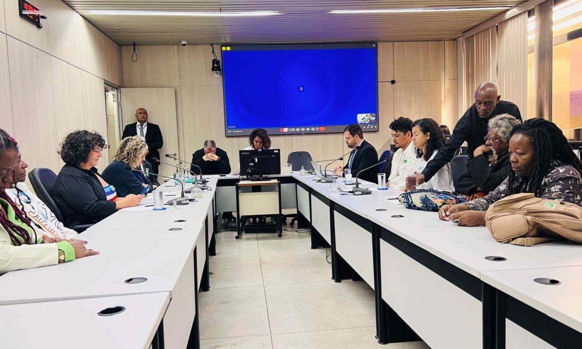Audiência publica -  (crédito: Edésio Ferreira/DA/Press)