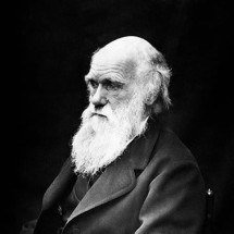 Há 143 anos, morria o cientista que chocou o mundo com "A Origem das Espécies" - Wikilmages pixabay