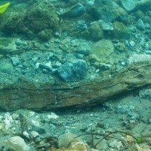 Arqueólogos descobrem naufrágio de 25 milênios na Itália - Reprodução/Soprintendenza del Mare