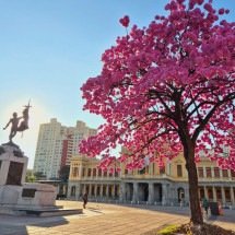 A casa que veio de navio - Jair Amaral/EM/D.A Press
