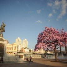 Aniversário de BH terá shows gratuitos na Praça da Estação; confira  - Alexandre Guzanshe/EM/D.A Press