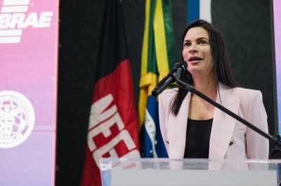 Presidente da Fenaju Gregória Benário ressalta que atualmente é possível a abertura de um Micro Empreendedor Individual (MEI) em um prazo médio de um dia -  (crédito: Reprodução)