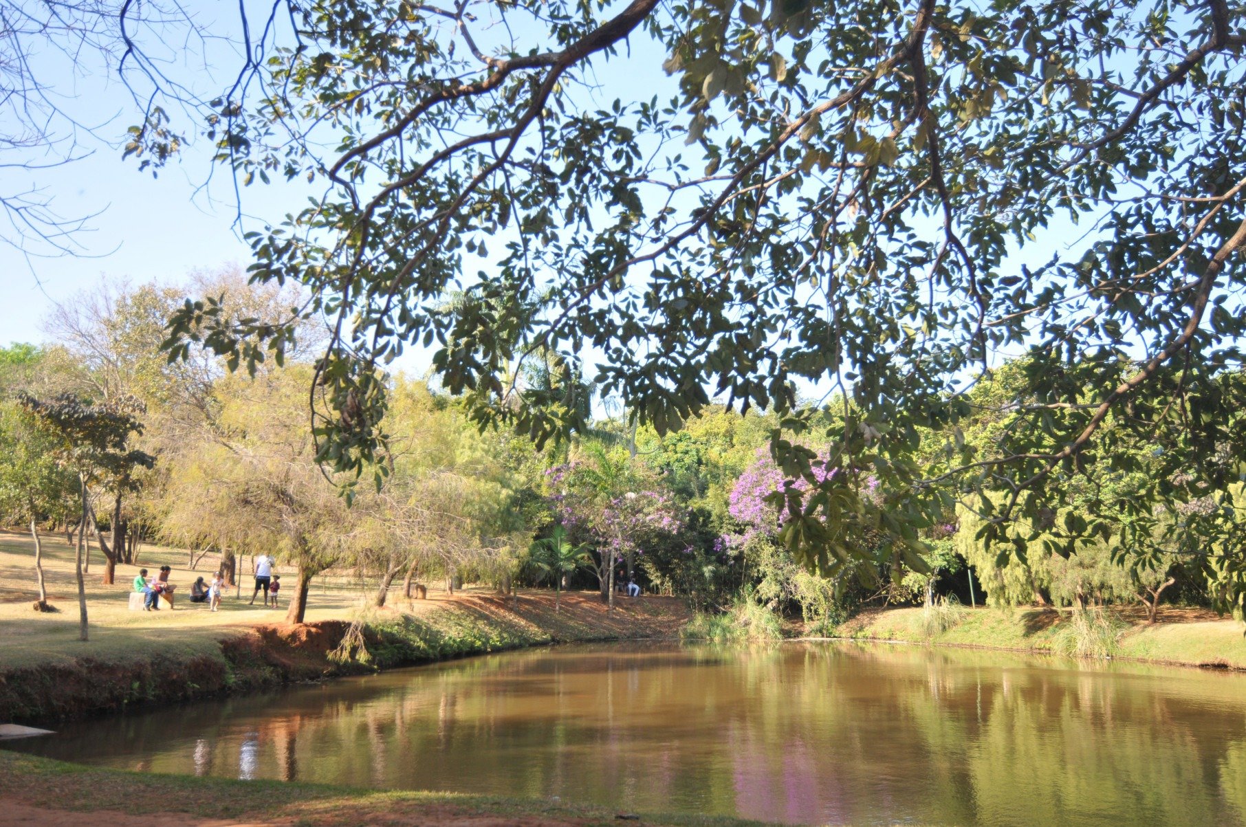 Confira a seguir os cinco parques que permanecem abertos à noite na capital mineira, com informações sobre suas atividades e horários de funcionamento      - Alexandre Guzanshe/EM/D.A Press. Brasil. Belo Horizonte - MG. Especial parques de Belo Horizonte. Serie do jornal Estado de Minas revela localizacoes, atrativos e peculiaridades dos mais de 70 parques de Belo Horizonte. O Parque Ecologico Roberto Burle Marx ou conhecido tambem como o Parque das Aguas localizado na regiao do Barreiro.  