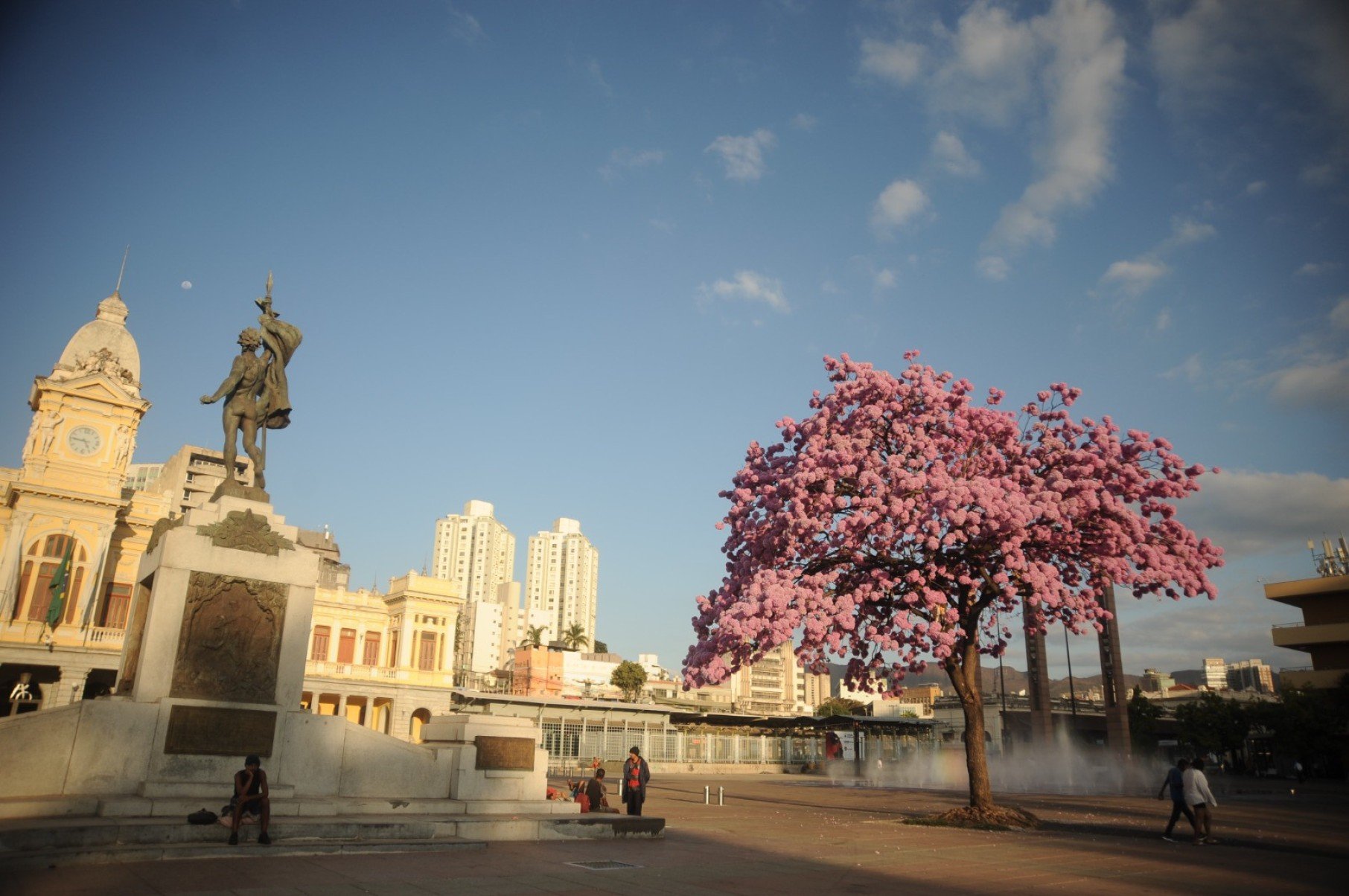 O Ipê da Praça da estação no final da tarde-Alexandre Guzanshe/EM/D.A Press