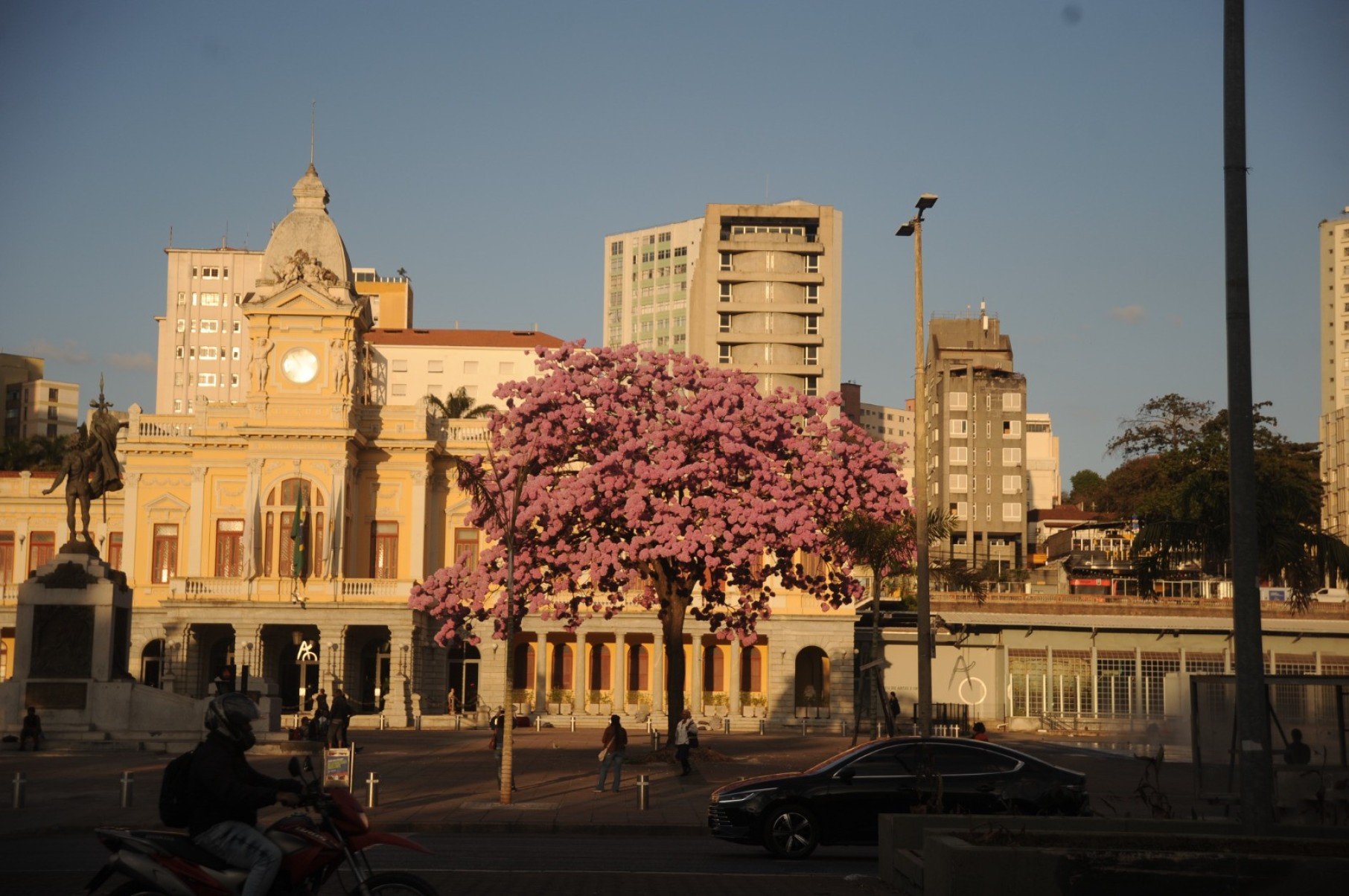 O Ipê da Praça da estação no final da tarde-Alexandre Guzanshe/EM/D.A Press