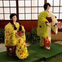 Excursões já se organizam para a Festa de Flores e Morangos -  ClaudiaMifano