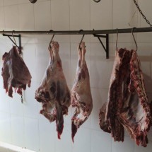 Animais mortos de forma cruel: abatedouro leva multa de R$ 503 mil em MG