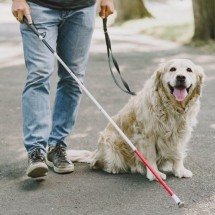 Entenda a diferença entre pets para suporte emocional, terapia e serviço - Freepik