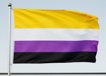 Bandeira Não Binária (aquelas cuja identidade de gênero não se encaixa nas categorias tradicionais de feminino ou masculino) -  (crédito: Gemini.IA/Reprodução)