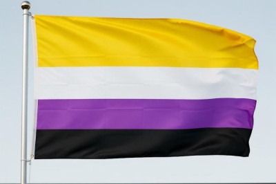 Bandeira Não Binária (aquelas cuja identidade de gênero não se encaixa nas categorias tradicionais de feminino ou masculino) -  (crédito: Gemini.IA/Reprodução)