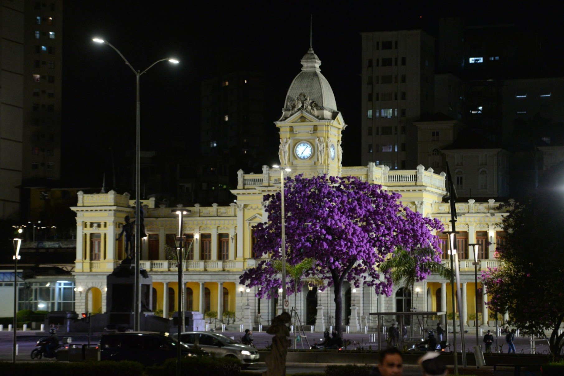 Ipê da Praça da Estação à noite-Túlio Santos/EM/D.A Press