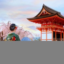 Yakult do Brasil participa do 26º Festival do Japão - DINO