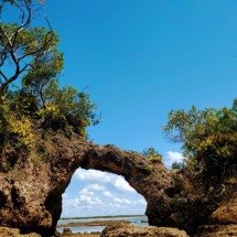 Ilhéus reúne experiências que mostram o sul da Bahia em movimento - DINO