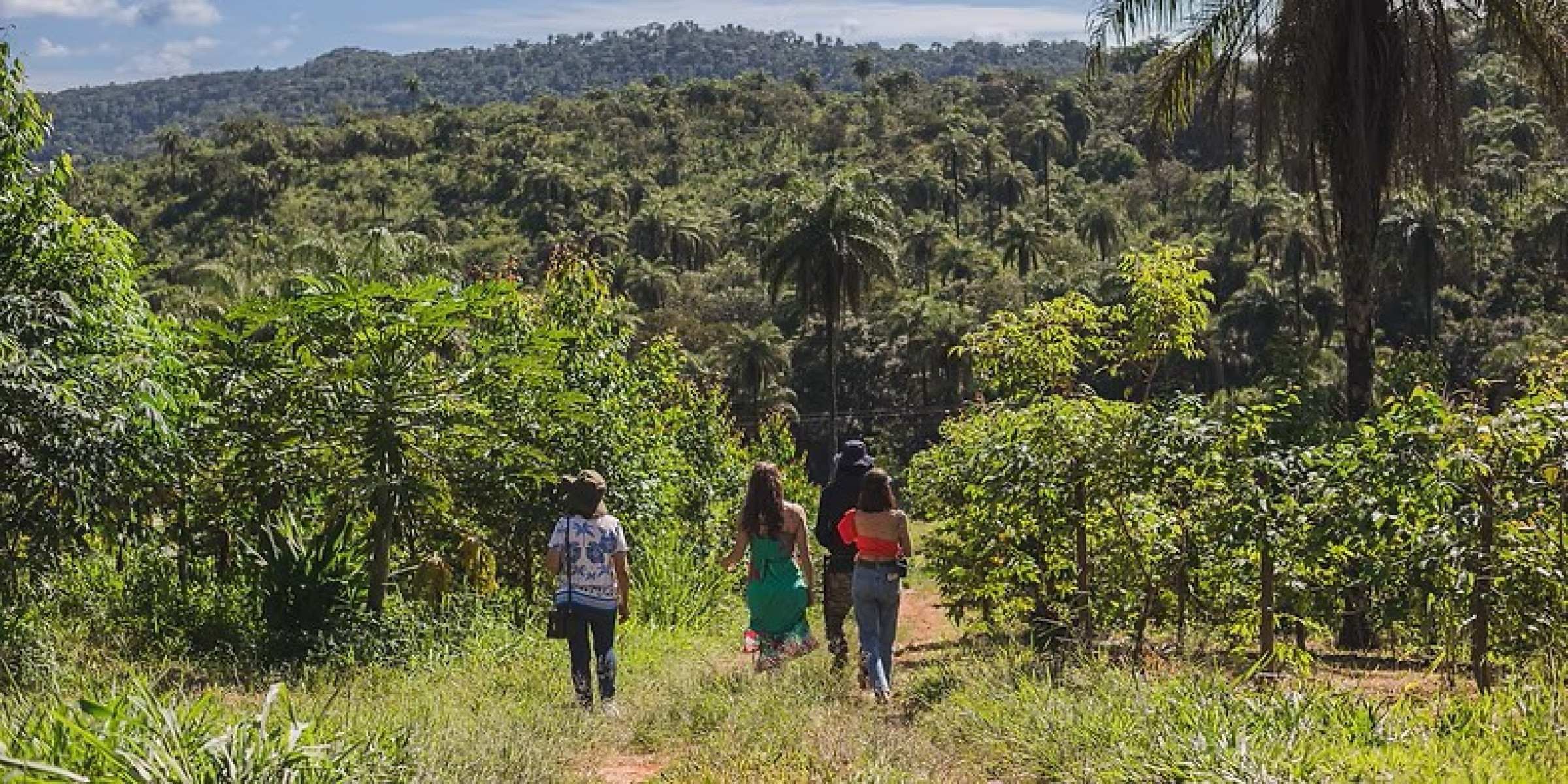 Na fazenda Ser-Tão, os turistas irão conhecer mais sobre os sistemas de agrofloresta 