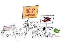Vira-Lata não é bagunça