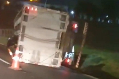 O caminhão estava carregado de gado no momento do acidente -  (crédito: Reprodução/Redes sociais)